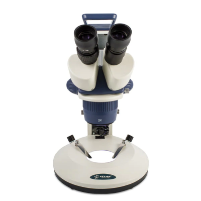 Microscopio estereoscopico  binocular