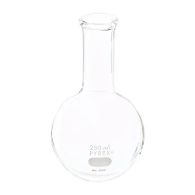 MATRAZ FONDO REDONDO PYREX CUELLO LARGO Marca PYREX