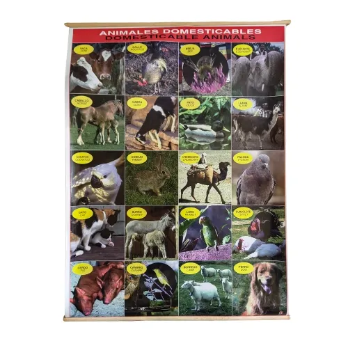 [LA1150] LAMINA PLASTIFICADA ANIMALES DOMESTICOS CON BASTON Marca LABESSA