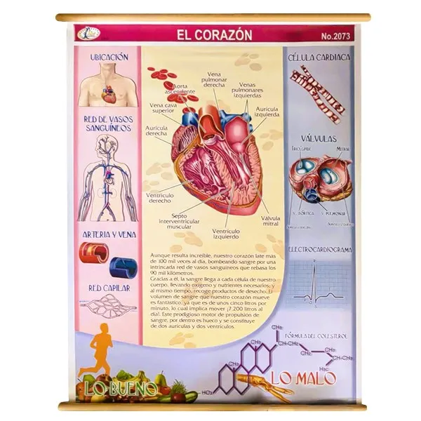 [LA1940] LAMINA PLASTIFICADA EL CORAZON CON BASTON Marca LABESSA