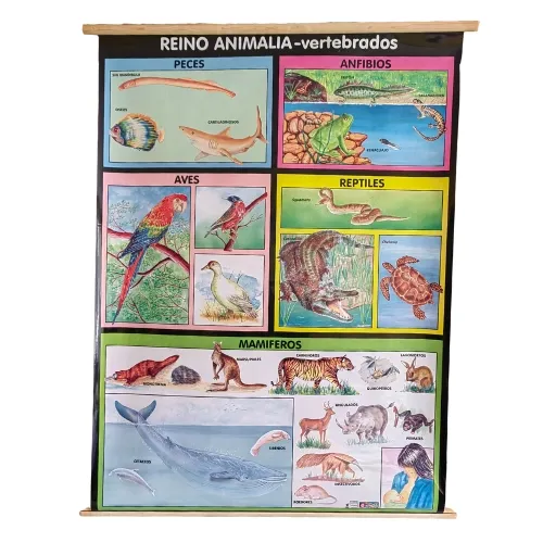 [LA2635] LAMINA PLASTIFICADA REINO ANIMAL VERTEBRADOS CON BASTON Marca LABESSA