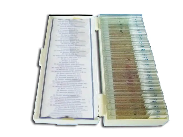 PREPARACIONES BIOLOGIA Marca VELAB ACC  50 Pzs