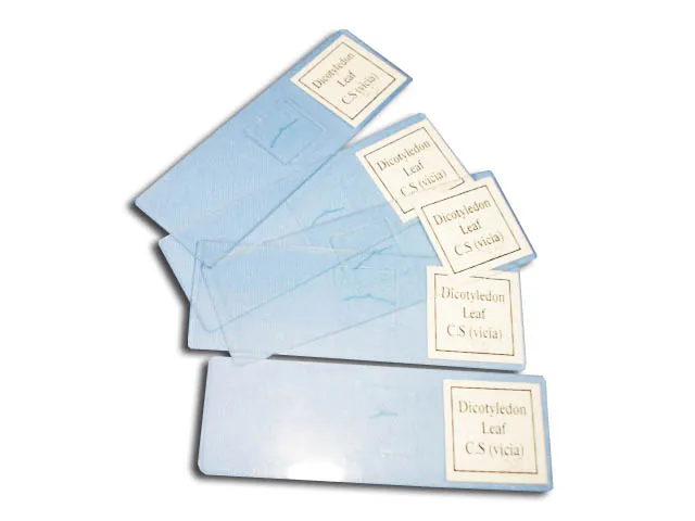 PREPARACION TALLO DE ARROZ Marca YACO