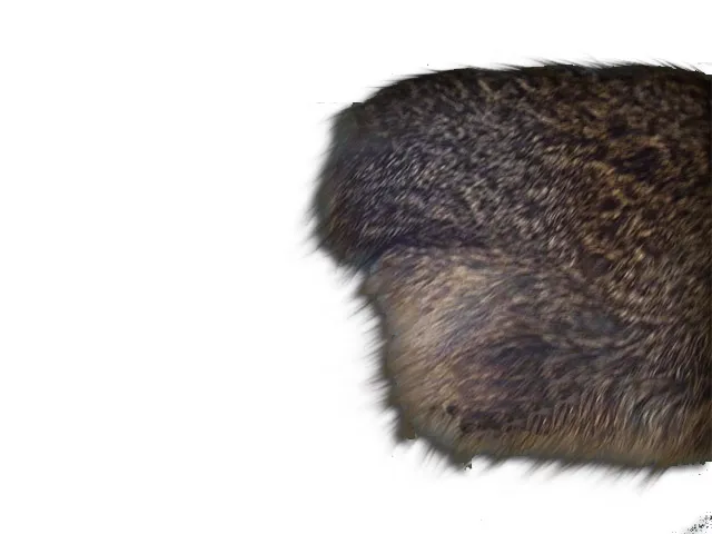 EXCITADOR DE PIEL DE CONEJO Marca LABESSA