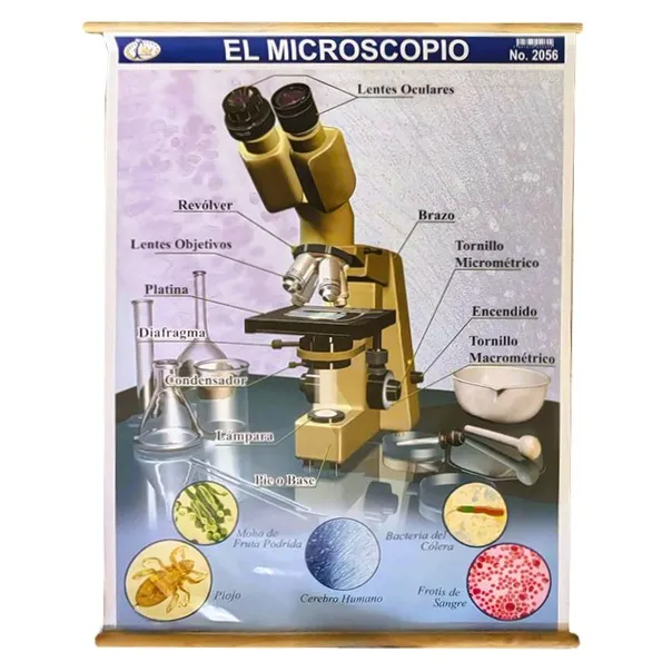 [LA2595] LAMINA PLASTIFICADA MICROSCOPIO CON BASTON Marca LABESSA