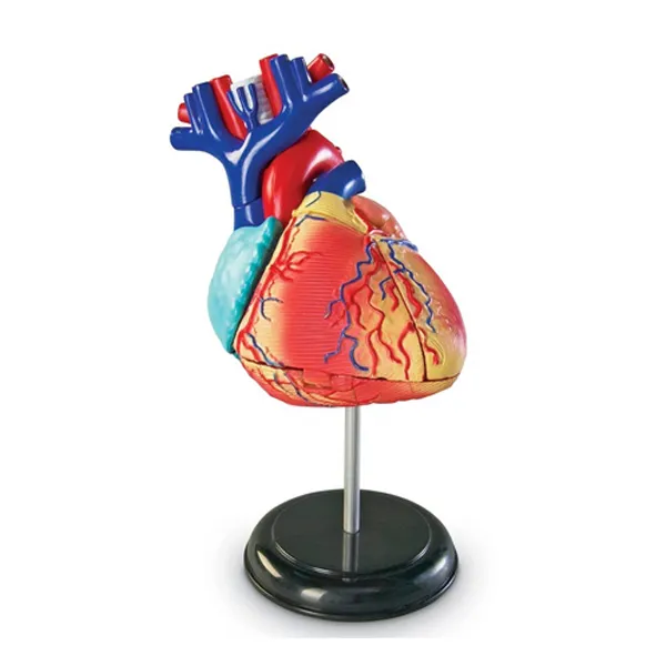 Modelo de corazon (mini) Marca LEEX