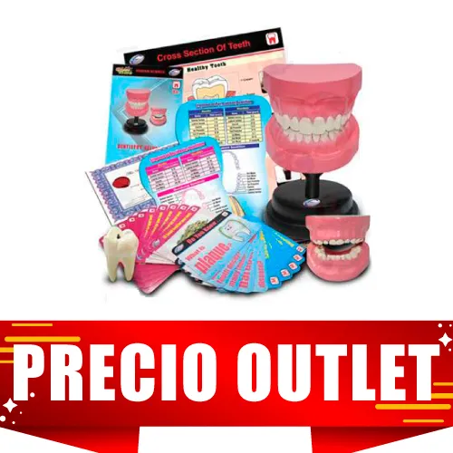 MODELO DE DENTADURA 9CM PARA PRIMARIA Marca SCIENCE TIME