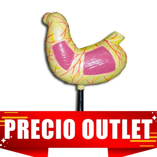 MODELO DE ESTOMAGO DESMONTABLE Marca YACO