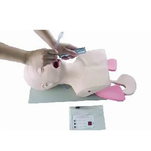 [MO2850] MODELO DE INTUBACION ELECTRONICO AVANZADO SIMULADOR Marca LEEX