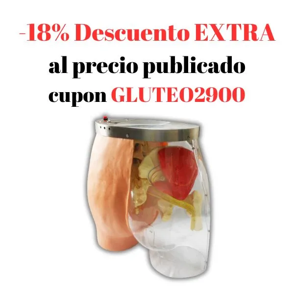 [MO2900] MODELO DE INYECCION EN GLUTEO ELECTRONICO SIMULADOR Marca LEEX