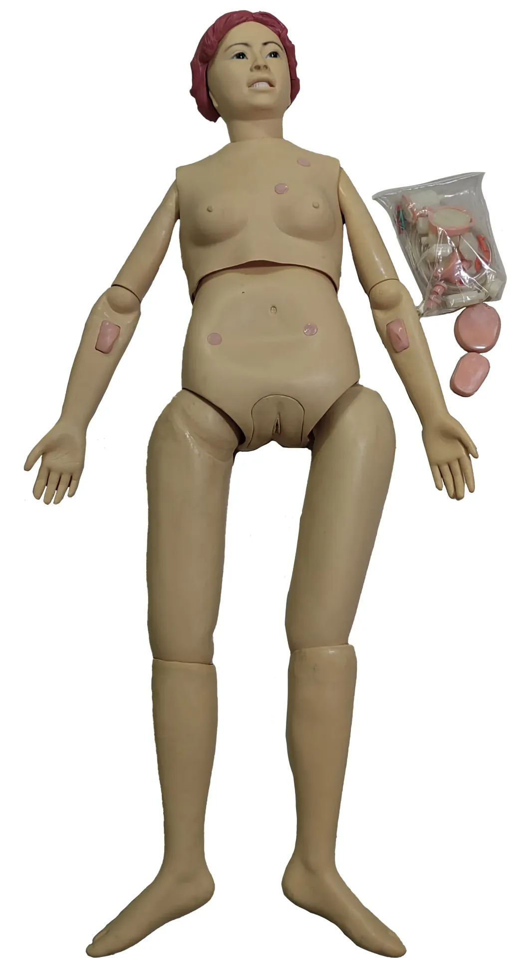 [MO3330-7067] MODELO DE MANIQUIE PARA ENFERMERIA (SEXO FEMENINO) Marca IMPORT EQ