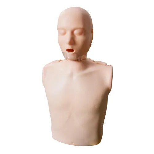[MO3333LX] MODELO DE MANIQUIE RCP MEDIO TORSO Marca LEEX