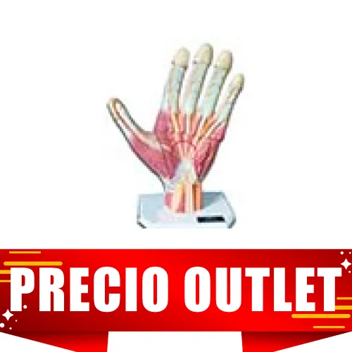 MODELO DE MANO GIGANTE Marca YACO