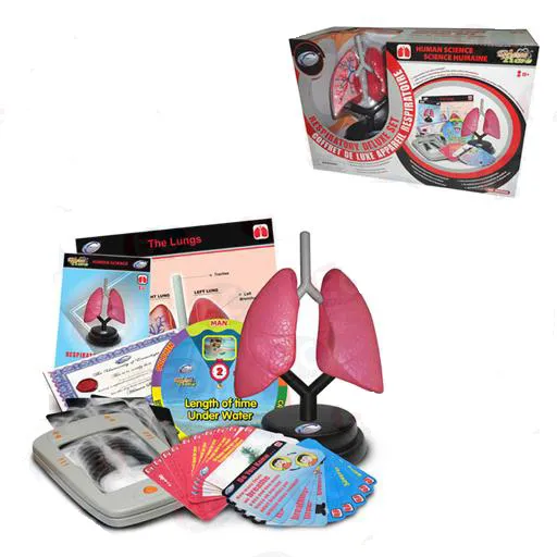 MODELO DE PULMONES 10CM PARA PRIMARIA Marca SCIENCE TIME