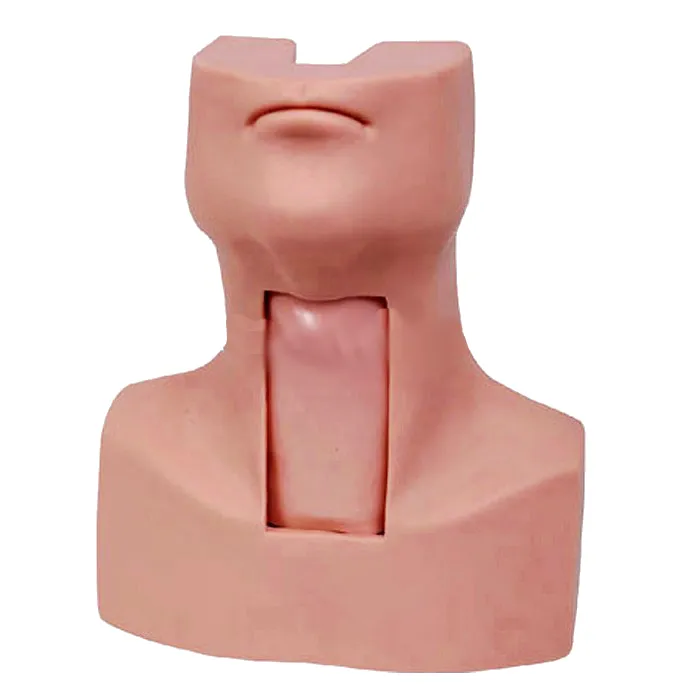 [MO6010] MODELO DE TRAQUEOTOMIA E INTUBACION Marca LEEX