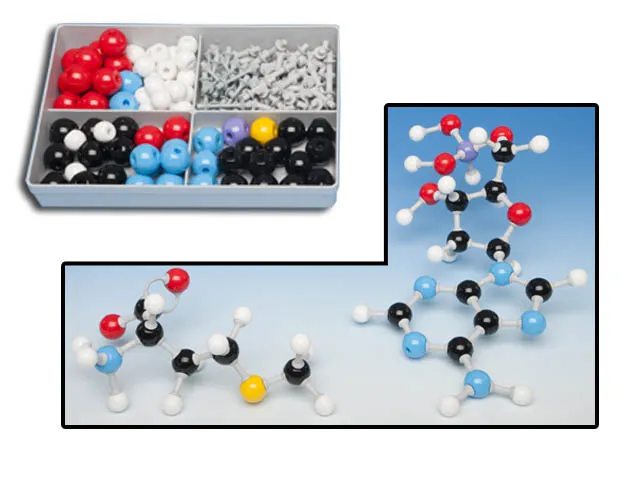 MODELO MOLECULAR BIOQUIMICA PARA ESTUDIANTE Marca MOLYMOD