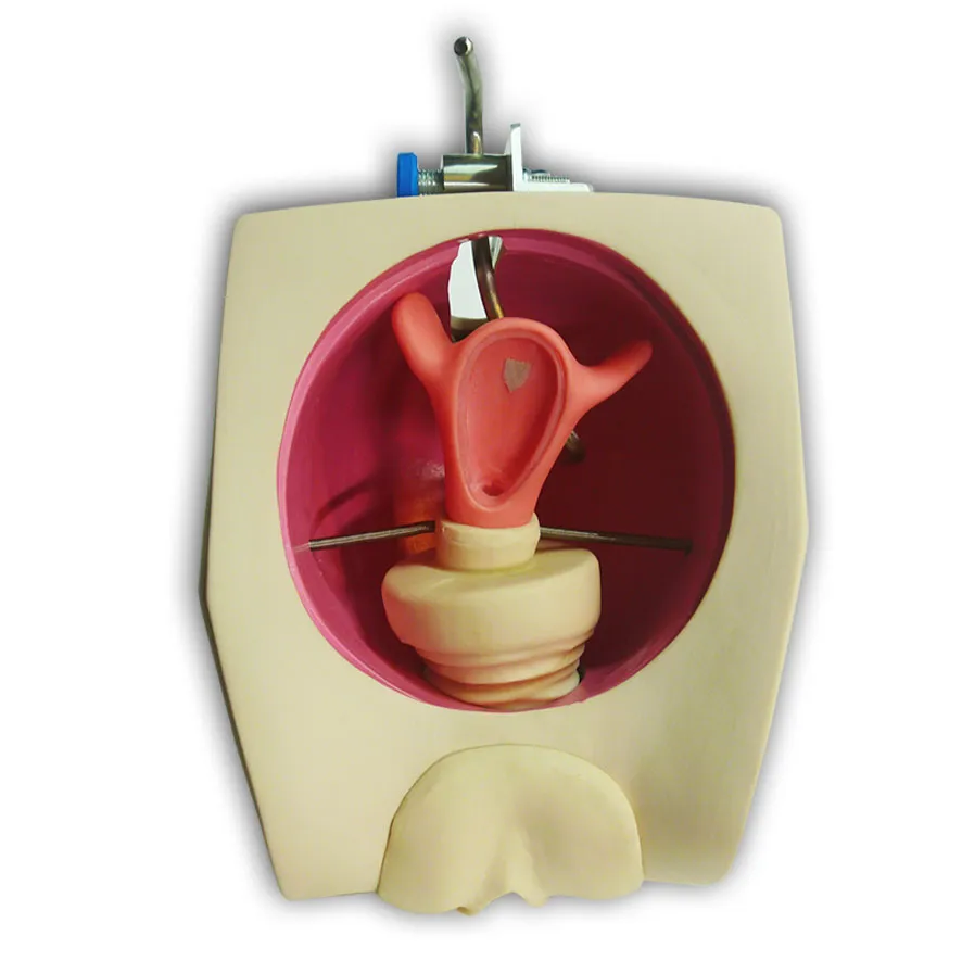 MODELO PARA COLOCACION PRESERVATIVO FEMENINO Marca LEEX