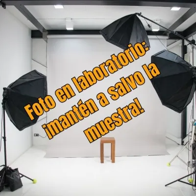 MULTIMEDIA CRECIENDO CON VALORES Y VIRTUDES DVD Marca Kris