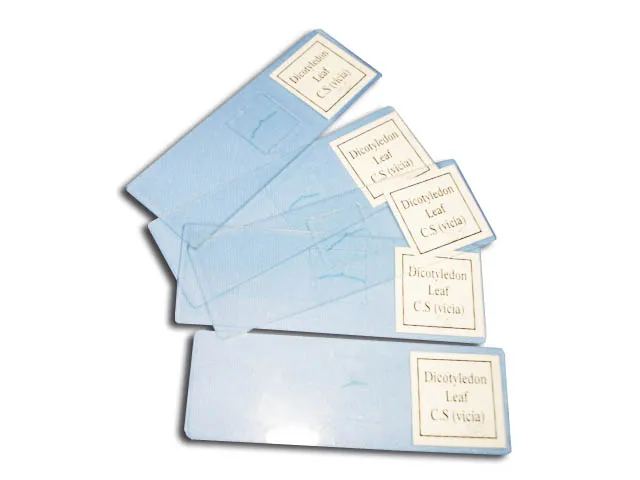 PREPARACION CUERO CABELLUDO Marca YACO