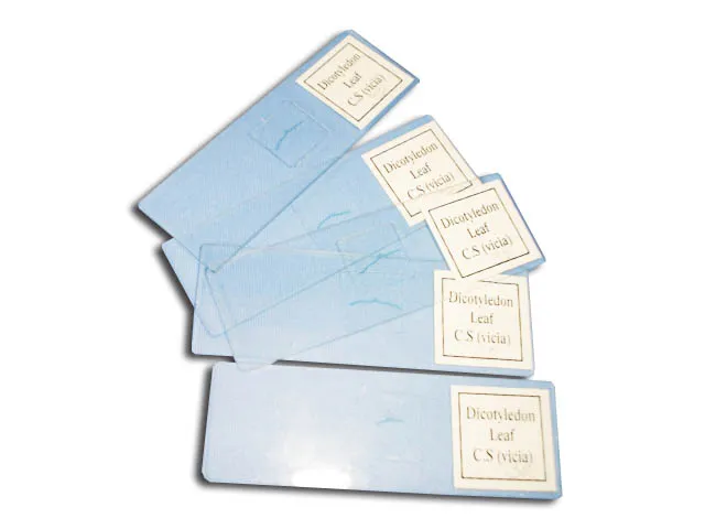 PREPARACION INYECCION VASCULAR DE CONEJO Marca YACO