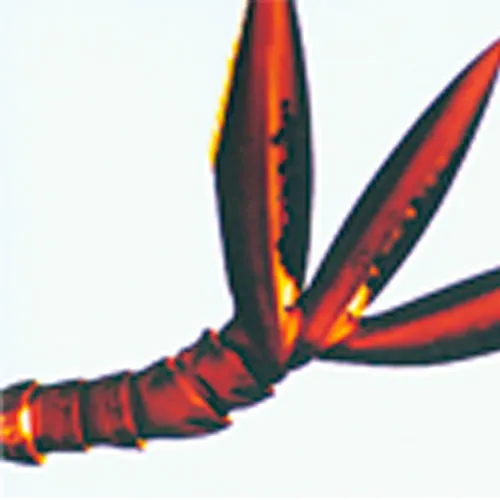 PREPARACION MOSQUITO (ANTENA) Marca LEEX