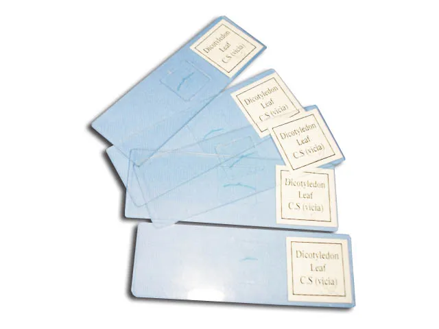 PREPARACION RANA (PIEL) Marca YACO