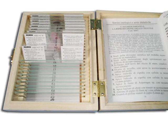 PREPARACION VIDA EN EL SUELO Marca KONUS